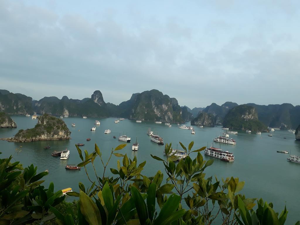 מלון הלונג Halong Majestic Legend Cruise מראה חיצוני תמונה